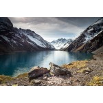 Fototapetai "Dark blue lake" Fototapetai | Colorbee.lt